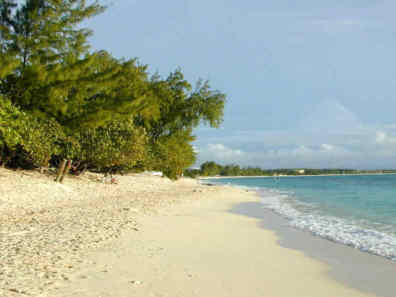 View at Cemetery Beach